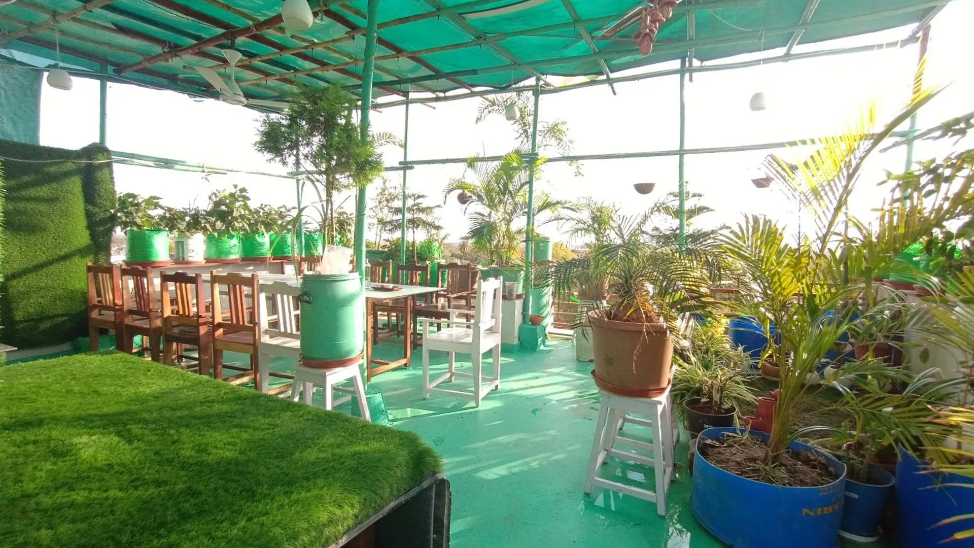 Choudhary White House Udaipur Apartment