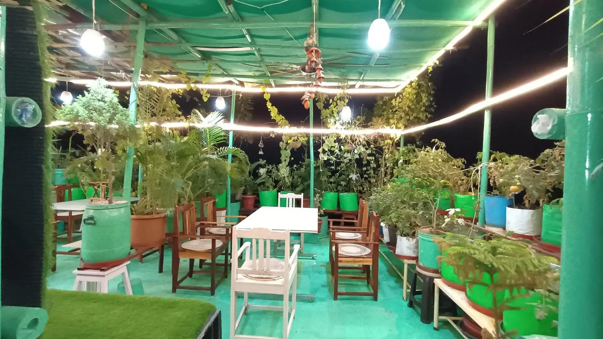 Choudhary White House Udaipur Apartment