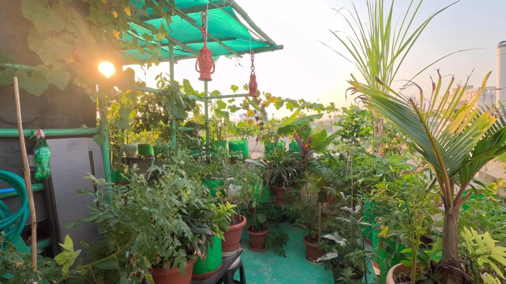 Choudhary White House Udaipur Apartment