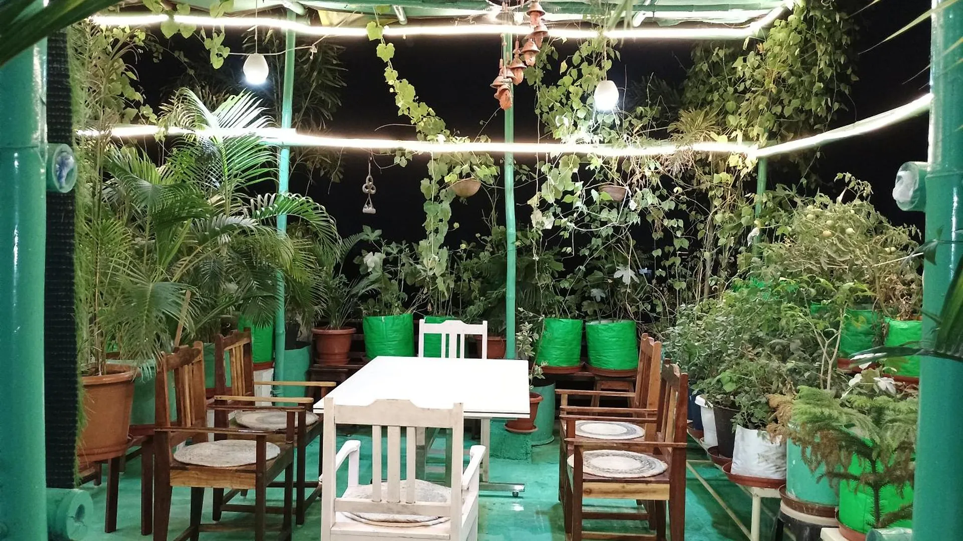 Choudhary White House Udaipur 아파트