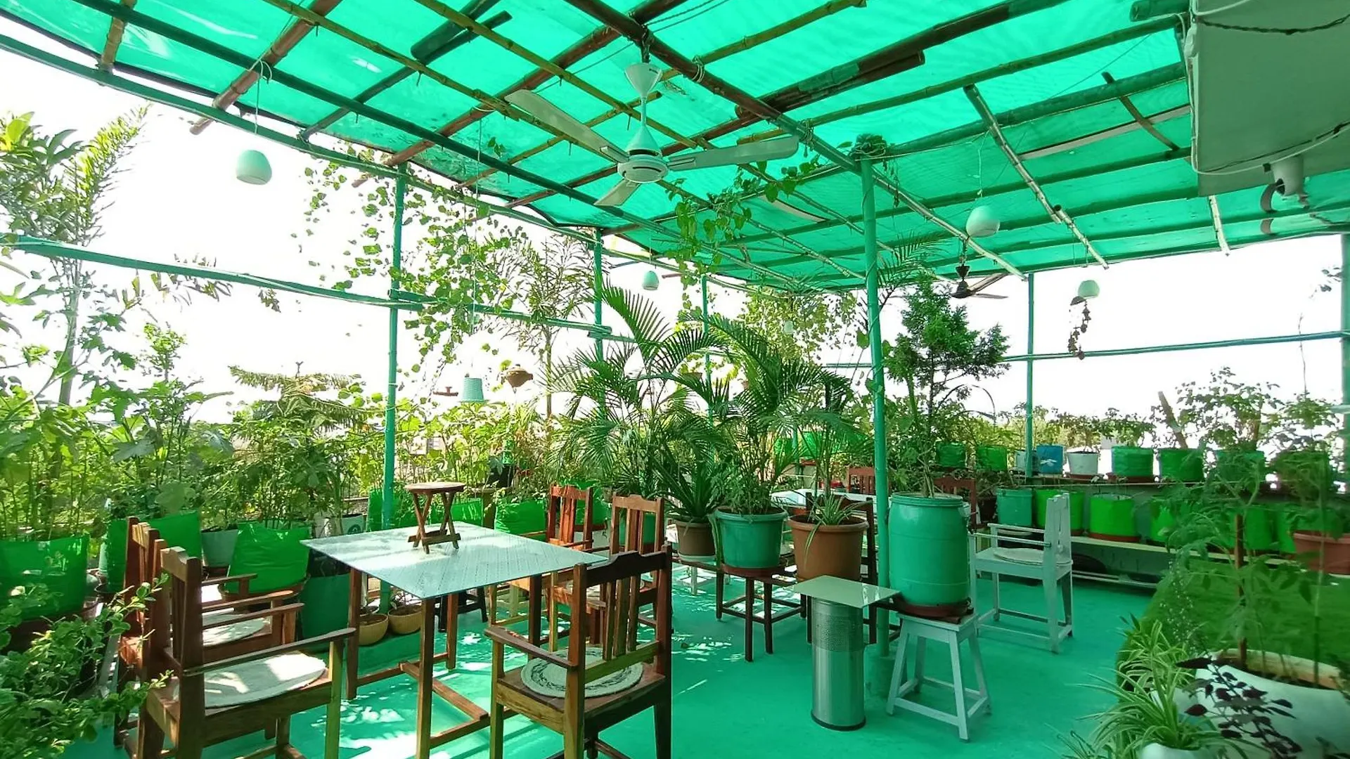Choudhary White House Udaipur 아파트 0*,