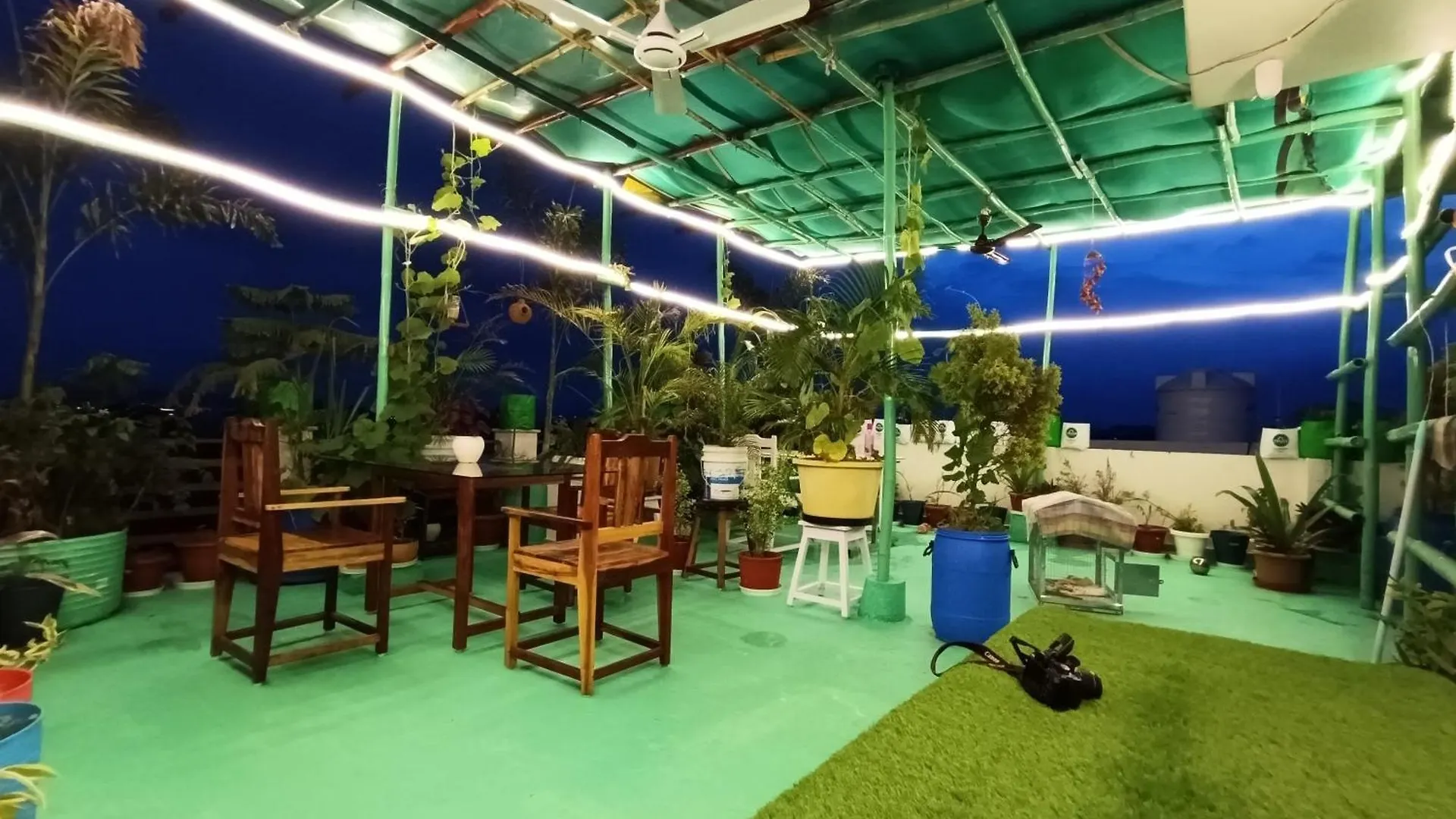 Choudhary White House Udaipur 아파트 인도